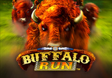 Buffalo Run Slots  (Game Media Works)