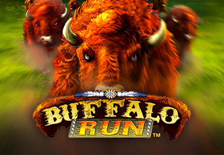 Buffalo Run (Game Media works) Buffalo Run (Game Media works)
