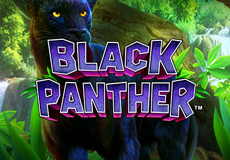 Black Panter (Game Media Works)