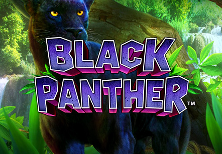 Black Panter (Game Media works)