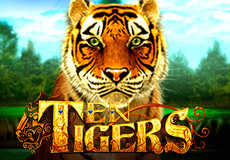 Ten Tigers Slots  (Game Media works)