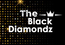 The Black Diamondz Slots  (Parlay Games)